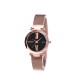 Women Fashion Elegant Luxury Starry Sky Quartz Watch Lady Magnetic Band Jewelry Wristwatch